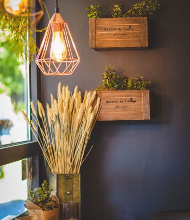 pexels-valeria-boltneva-1129413